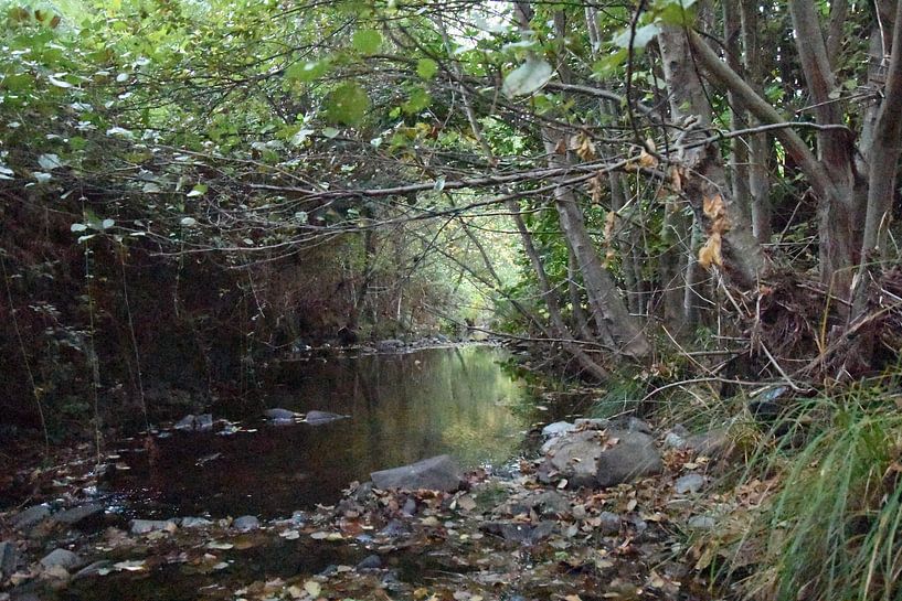 De rivier van Erick's Photo Experience