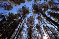 Ein sommerlicher Tag mit Winterfeeling