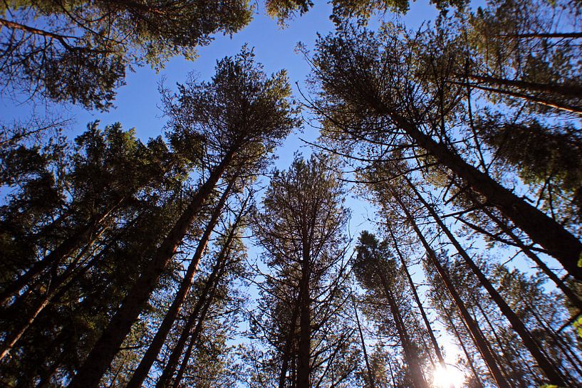 A summer's day that feels like winter by Milou VDB