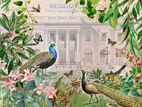 Der geheime Garten der Pfauen