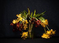 Blühende Tulpen in Vase