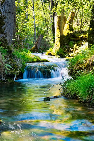 Stream course long time exposure by Sven Frech