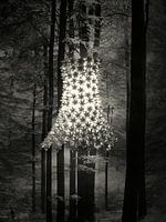 Kleid im Wald/ Dress to shine