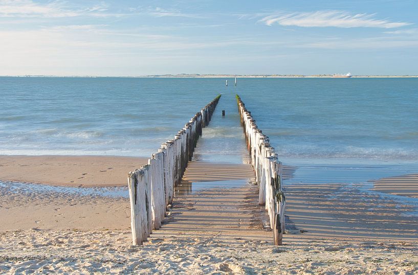 Dans la mer par Miny'S