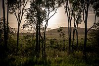 Durch Australien fahren