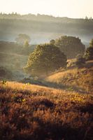 Morning mist on the Posbank