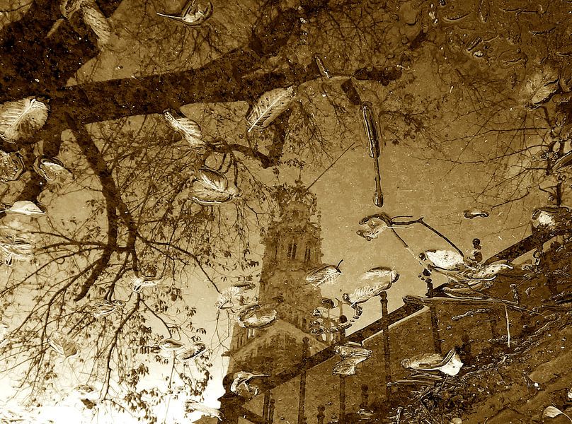 Bakenesser Reflexion (2015) von Eric Oudendijk