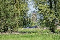 Gezicht op Gorinchem