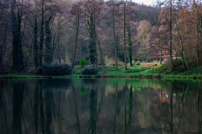 Reflection by Arash Mahdawi Nader