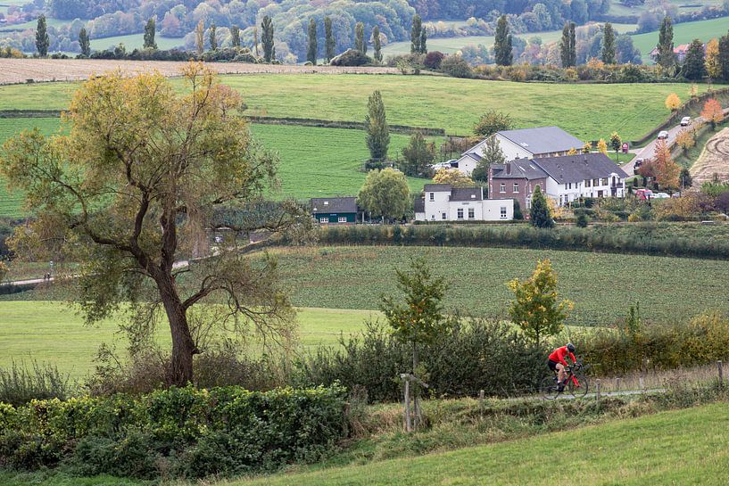 Pays des collines par rob creemers