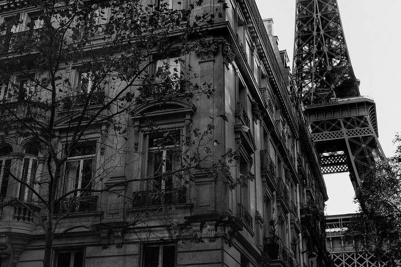 Tour Eiffel - Tour Eiffel par Pictufy Studio III