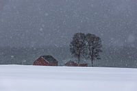 Rote Hütte am Fjord