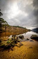Jubilee Point, Loch Eck