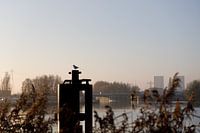 Eemskanaal am Morgen