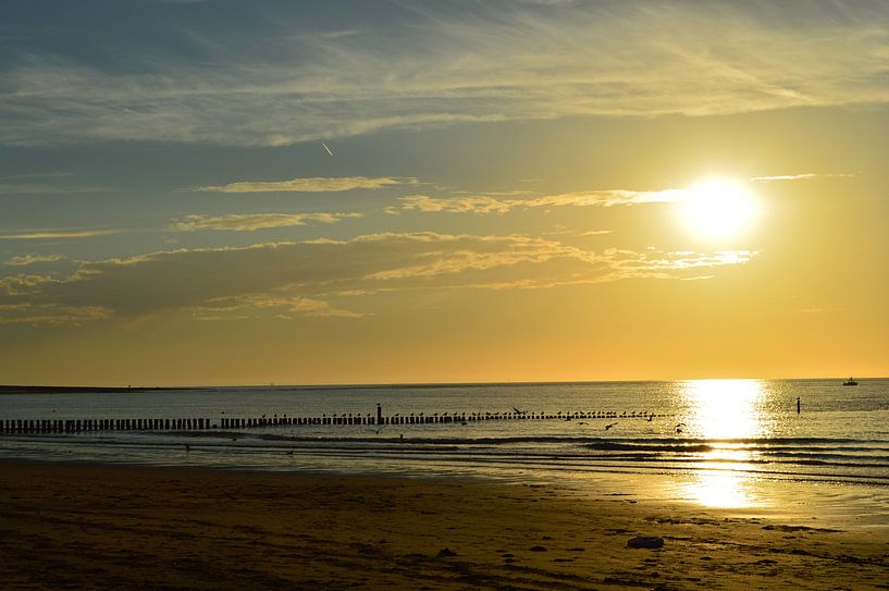 beach zeeland by Joke te Grotenhuis