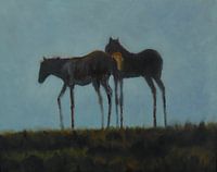 Veulens in het water.