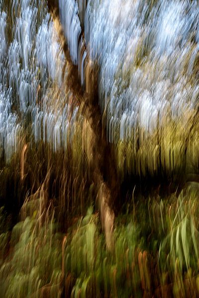 Bewegung im Wald von Jakob Huizen van