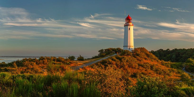 Leuchtturm Dornbusch auf Hiddensee bei Sonnenuntergang von Markus Lange