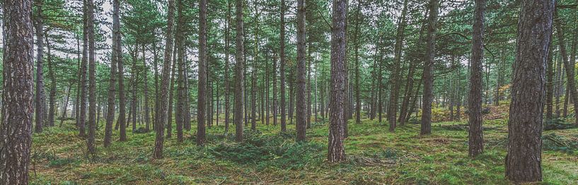 Panorama Oranjezon by Daniël Steenbergen