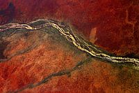 Rotbraune Erde mit trockenem Fluss und Bäumen