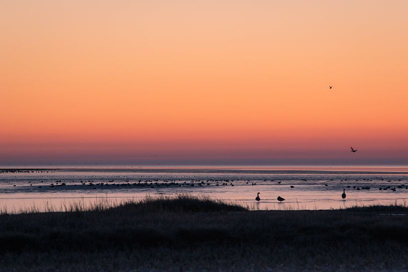 Sonnenaufgang über dem Wad auf Terschelling. von Marjan Schmit Visser