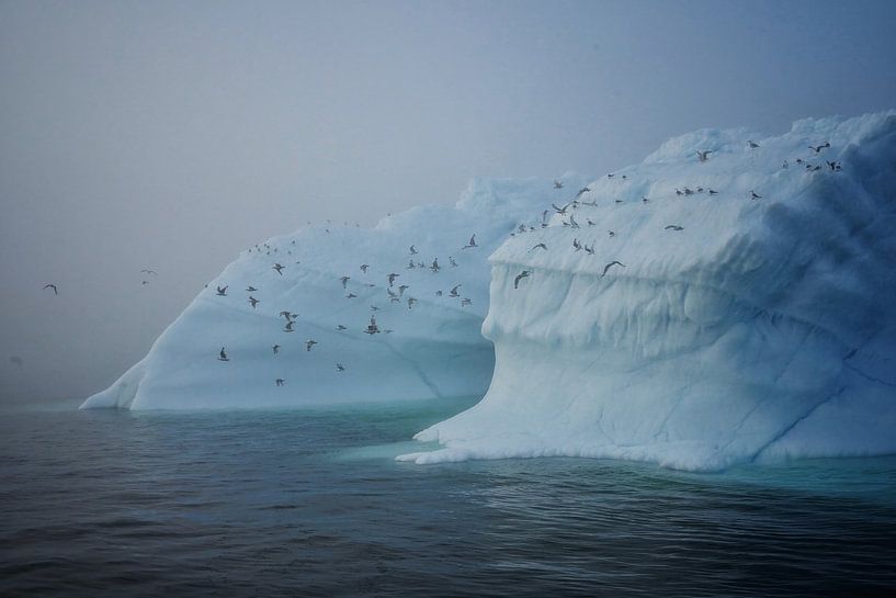 Les oiseaux quittent l'iceberg par Elisa in Iceland