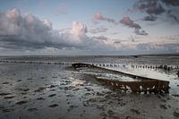 Der Schiffbruch von Wierum