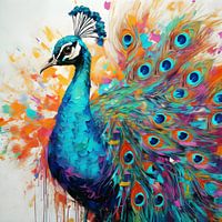 Peacock, the power of colour