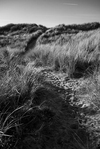 Along the way by Rob Donders Beeldende kunst