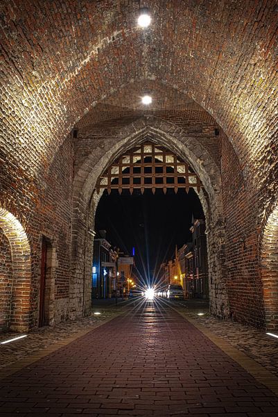 Gefängnistor Bergen op Zoom von Lars Mol