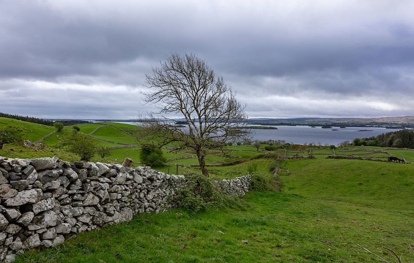 Irish landscape by Roy Vereijken