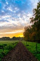 The World At Your Feet