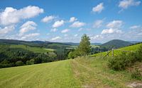 Landschaftspanorama im Sauerland