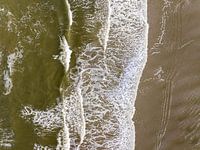 L'image de marque en perspective : forces primaires et descendantes