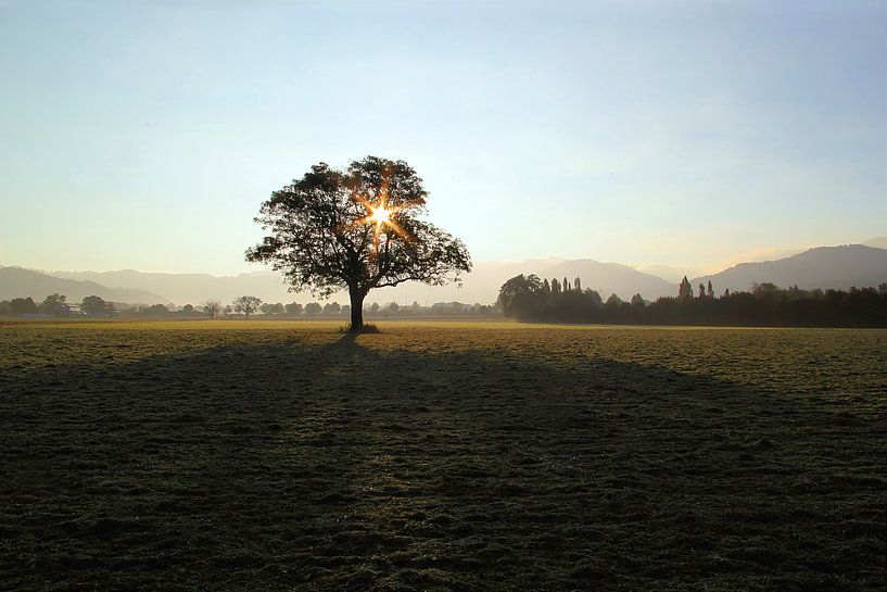 autumn morning by Patrick Lohmüller