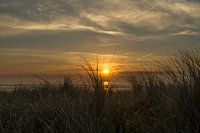 Zonsopkomst Texel