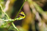 Heureux d'être ici !