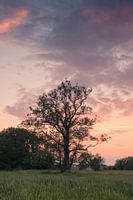 Tragen Sie die Wolken