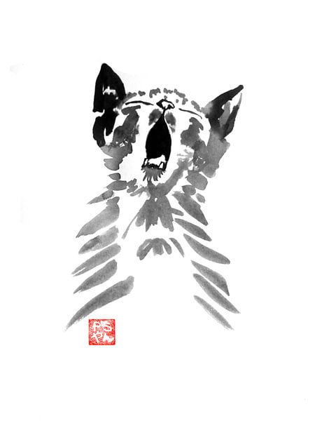 chat bailleur par Péchane Sumie