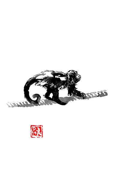 monkey on ropes by Péchane Sumie