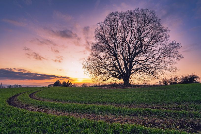 Sunset in the Harz Mountains near Sangerhausen by Andreas Völkel