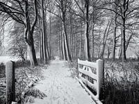 Clôture et chemin forestier dans la neige, Chateau Marquette