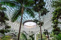 Dach des HSBC-Regenwirbels im Juwel Changi Airport Singapur