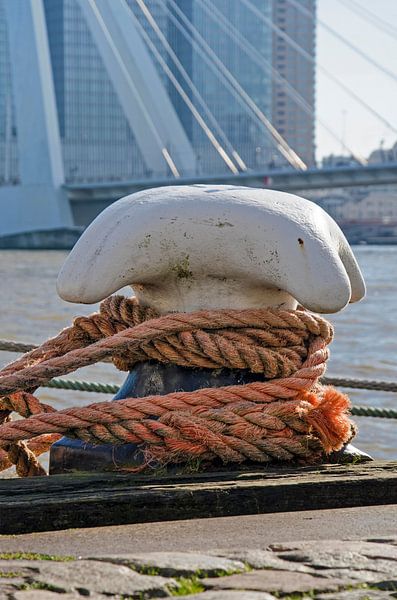Rotterdamer Poller von Frans Blok - Fotos, Kunst und weitere Wanddekoration