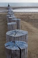 Beach poles