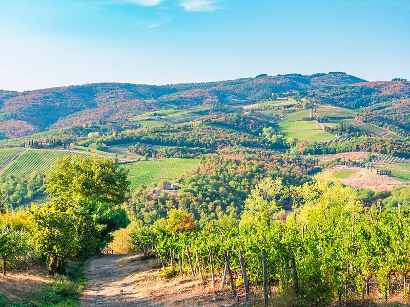 Tuscany Landscape by Mustafa Kurnaz