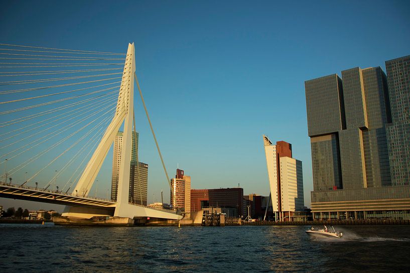 Rotterdam bij zonsondergang par Adriana Zoon