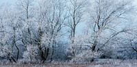 Winterlandschaft