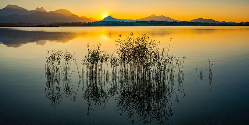 Coucher de soleil, Hopfensee par Walter G. Allgöwer
