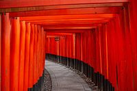 Fushimi Inari Torii